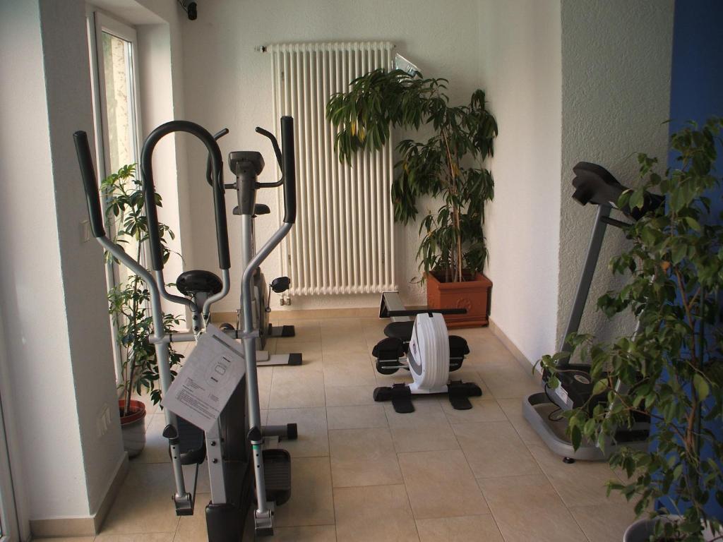 Hotel Apollo Garni Regensburg Ngoại thất bức ảnh